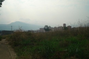 Terreno  / Venta / Valencia / Manongo / FLEXMLS-11-3900