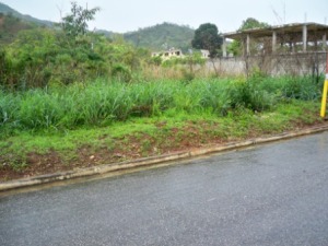 PATRICIA COLINA V-09752084-0 Terreno Residencial Venta Valencia Guataparo FLEXMLS-11-4063
