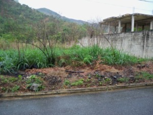 MARIA ALBA GIORDANO Terreno  Venta Valencia Guataparo FLEXMLS-11-4063