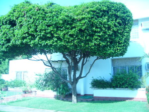 JUSMERI ESPINA Townhouse En Venta En Maracaibo - Zona Norte C&oacute;digo FLEX: 11-4404 No.1