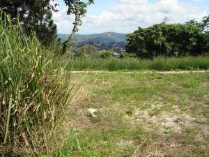 ANARELLA CURIEL Terreno  Venta Caracas Alto Hatillo FLEXMLS-11-4465
