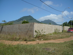 PEDRO ARNAL Terreno  Venta Municipio Antolin del Campo Paraguachi Paraguachi FLEXMLS-11-4625