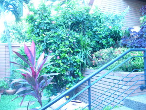 MARGARITA ESCALANTE Apartamento Venta Maracaibo Tierra Negra FLEXMLS-11-4796