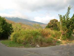 EILEEN CASTILLO Terreno  Venta Maracay El Castaño (Zona Privada) FLEXMLS-11-1150