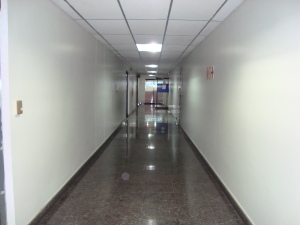 FRANQUICIA MASTER COLOMBIA Oficina en Alquiler en Los Palos Grandes en Caracas Código: 11-4866 No.8