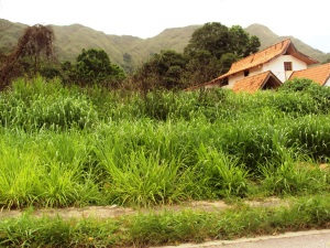 EILEEN CASTILLO Terreno  Venta Maracay El Castaño FLEXMLS-11-5150