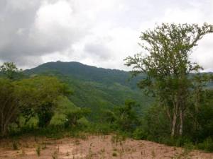 ARIADNA BOUQUETT MORENO Terreno  Venta Caracas Caicaguana FLEXMLS-11-5207