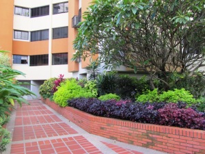 MARIA ALBA GIORDANO Apartamento Venta Valencia Los Mangos FLEXMLS-11-5254