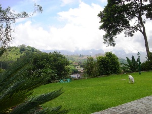 ARIADNA BOUQUETT MORENO Casa Venta Caracas La Lagunita Country Club FLEXMLS-11-5402