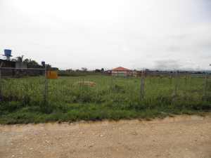 MARIA ALBA GIORDANO Terreno Residencial En Venta En Valencia - Tocuyito C&oacute;digo FLEX: 11-5406 No.3