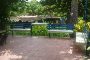 CARMEN ROSA BEA Casa En Venta En Maracay - El Limon C&oacute;digo FLEX: 11-5389 No.3