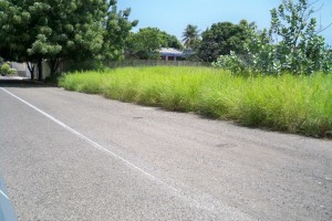 JUSMERI ESPINA Terreno  Venta Maracaibo Los Olivos FLEXMLS-11-5425