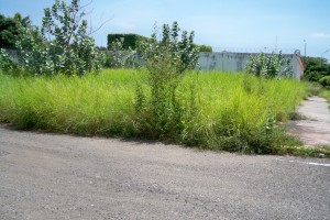 URDANETAYRODRIGUEZ Terrenos Residencial En Venta En Maracaibo - Los Olivos