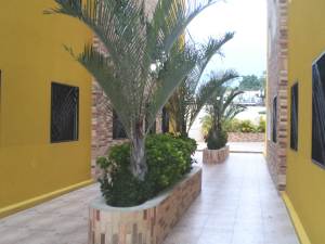 OSMAR GOMEZ Apartamento En Venta En Maracay - El Limon C&oacute;digo FLEX: 11-5524 No.6