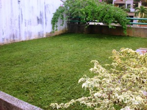 ROSAURA ISLA Casa En Venta En Valencia - Altos de Guataparo C&oacute;digo FLEX: 11-5626 No.3