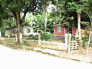 LISETH GONZALEZ Terreno  Venta Municipio Juan Jose Mora Urama FLEXMLS-11-5642