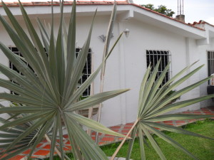 MASTER INTERNATIONAL Casa en Venta en El Ortice�o en Palo Negro C&oacute;digo: 11-5663 No.5