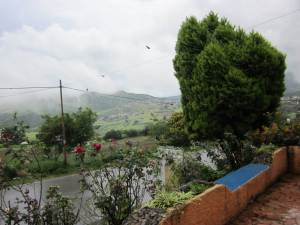 MASTER INTERNATIONAL Casa en Venta en Parroquia Pio Tamayo en Sanare Código: 11-5705 No.9