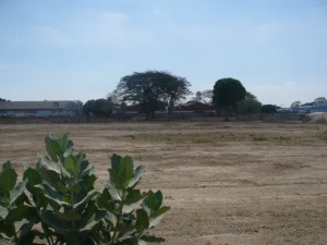 Terreno
