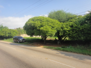 PEDRO ARNAL Terreno  Venta Municipio Antolin del Campo Paraguachi Playa El Agua FLEXMLS-11-5929