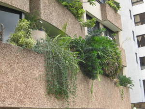 VANESSA GOMES Apartamento Venta Caracas Santa Eduvigis FLEXMLS-11-5944