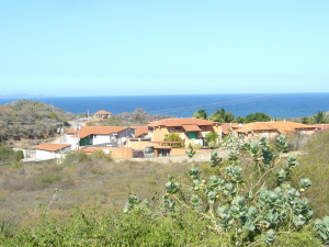 Vista desde la casa
