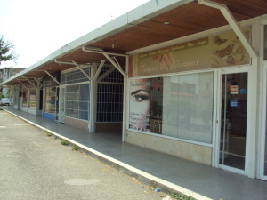 EILEEN CASTILLO Local Comercial En Venta En Palo Negro - Los Naranjos C&oacute;digo FLEX: 11-6055 No.4