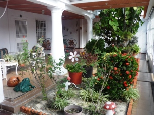 EILEEN CASTILLO Casa En Venta En Maracay - Palo Negro Código FLEX: 11-6114 No.5