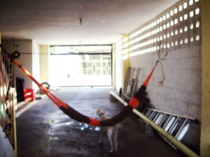 FRANQUICIA MASTER COLOMBIA Casa en Alquiler en San Francisco en Maracaibo Código: 11-6360 No.4
