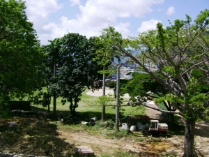 FRANQUICIA MASTER COLOMBIA Apartamento en Alquiler en Terrazas De La Vega en Caracas Código: 11-6535 No.8