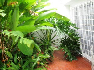 EILEEN CASTILLO Casa En Venta En Maracay - Fundacion Mendoza Código FLEX: 11-6714 No.1