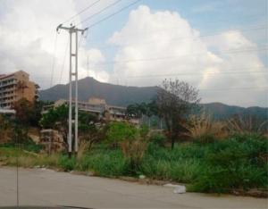 Terreno  / Venta / Valencia / Manongo / FLEXMLS-11-6843