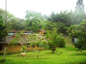 EILEEN CASTILLO Casa En Venta En Guiripa - Los Cafetales de Guiripa C&oacute;digo FLEX: 11-6885