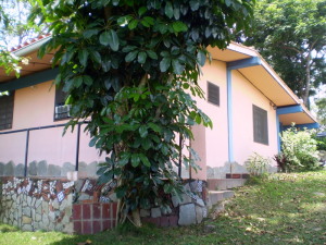 MARIA ALBA GIORDANO Terreno Comercial En Venta En Municipio Libertador - Hacienda el Naipe C&oacute;digo FLEX: 11-6894 No.1