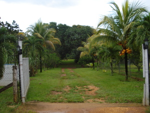 MARIA ALBA GIORDANO Terreno  Venta Valencia Sabana del Medio FLEXMLS-11-7025