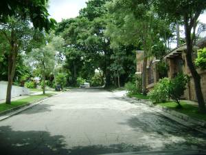 LISETH GONZALEZ Terreno  Venta Valencia La Entrada FLEXMLS-11-7030