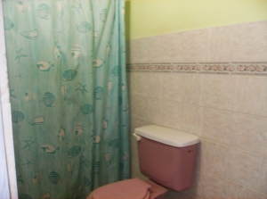 EILEEN CASTILLO Casa En Venta En Maracay - Caña de Azucar Código FLEX: 11-7043 No.7