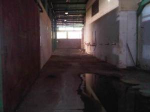 JUSMERI ESPINA Galpon - Deposito En Alquiler En Maracaibo - Los Haticos C&oacute;digo FLEX: 11-7173 No.5