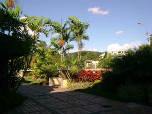 ROSAURA ISLA Casa En Venta En Valencia - Altos de Guataparo C&oacute;digo FLEX: 11-7491 No.4