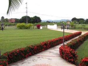 Estela Beatriz P�rez Rivas Casa En Venta En Valencia - Safari Country Club C&oacute;digo FLEX: 11-7545 No.5
