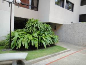 ALFREDO NESSY Apartamento En Venta En Caracas - La Alameda C&oacute;digo FLEX: 11-7574 No.3