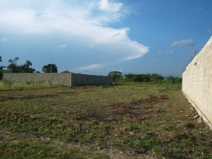 Carmelina Coronel Terreno Residencial Venta Cabudare Parroquia Jos� Gregorio FLEXMLS-11-7662