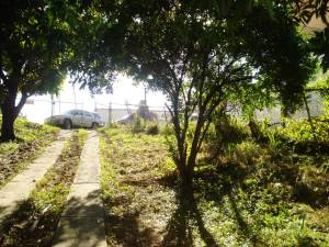 GICELA MORA Terreno  Venta Guatire Guatire FLEXMLS-11-7766