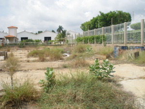 WENDY URDANETA Terreno Comercial En Venta En Maracaibo - Avenida El Milagro C&oacute;digo FLEX: 11-7910 No.1