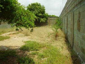 JUSMERI ESPINA Terreno  Venta Maracaibo San Rafael FLEXMLS-11-7951