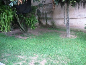 ALO INMUEBLES 2009, C.A. Casa En Venta En Caracas - Altamira <br/>C&oacute;digo FLEX: 11-7991 No.3