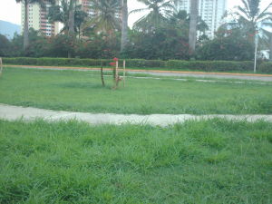 LISETH GONZALEZ Apartamento Venta Valencia Manongo FLEXMLS-11-8085