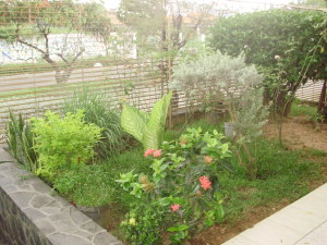 SORVELY SANCHEZ Casa Venta Valencia Las Chimeneas FLEXMLS-11-8091