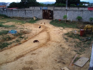 Carmelina Coronel Terreno Residencial Venta Cabudare Parroquia Jos� Gregorio FLEXMLS-11-8126