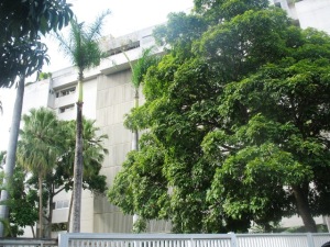 ALFREDO NESSY Apartamento En Venta En Caracas - Santa Rosa de Lima C&oacute;digo FLEX: 11-8171 No.0